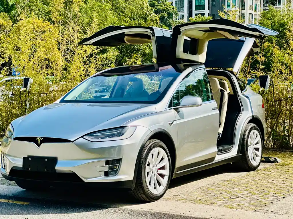 Tesla Model X 2019 — фото 4