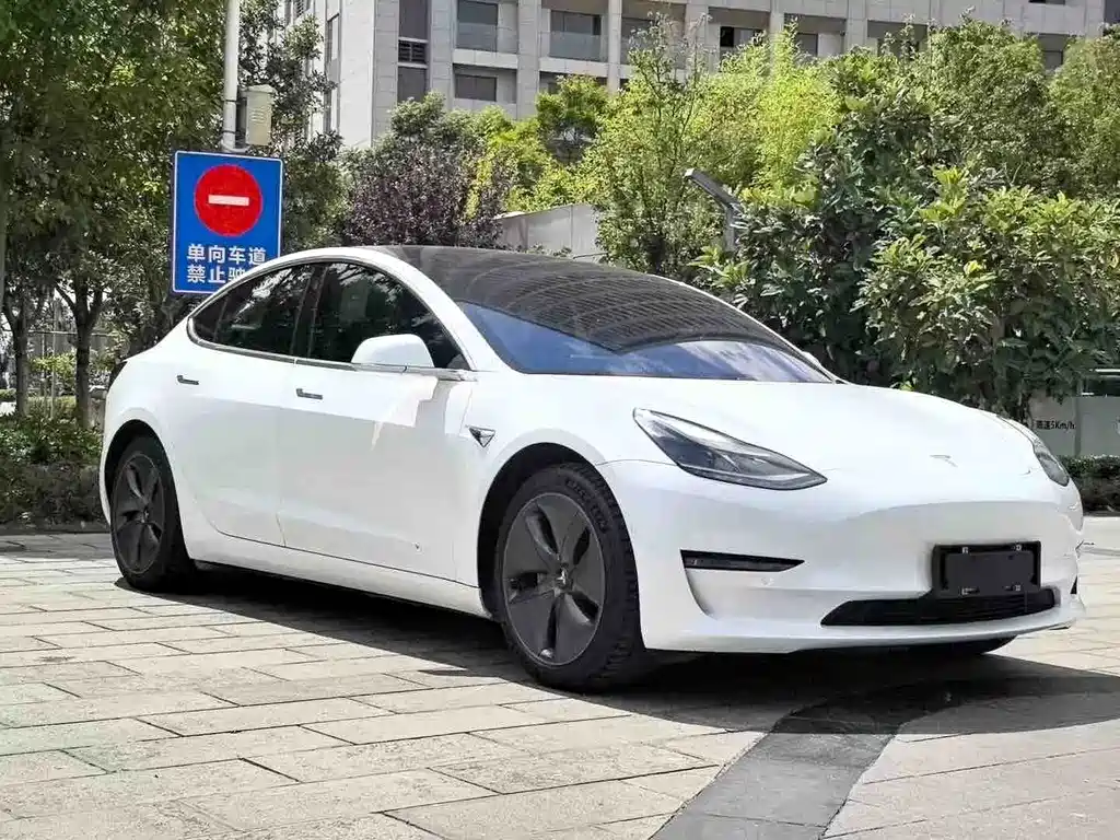 Tesla Model 3 2020 — фото 3