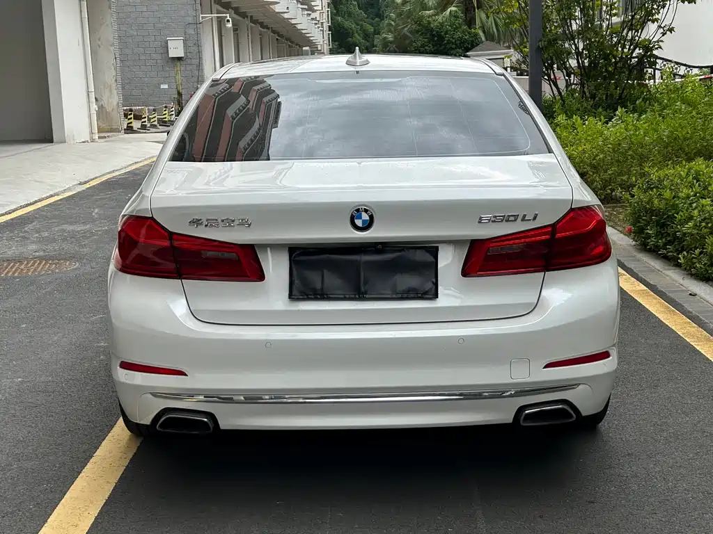 BMW 5 Series 2019