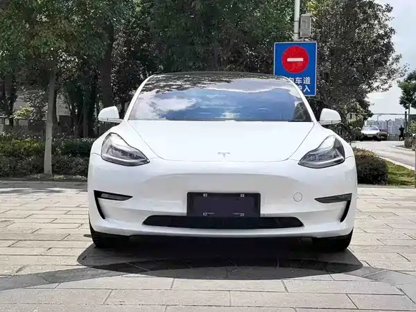Tesla Model 3 2020
