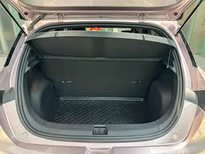 BYD Dolphin 2021
