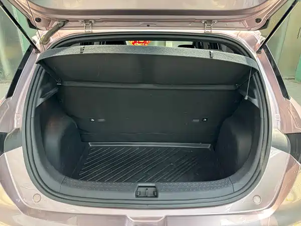 BYD Dolphin 2021