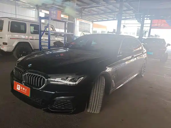 BMW 5 Series New Energy 2021