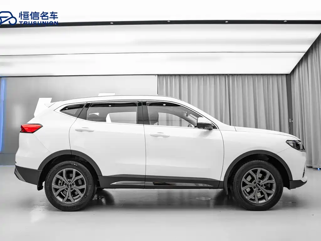Haval H6 2021 — фото 4