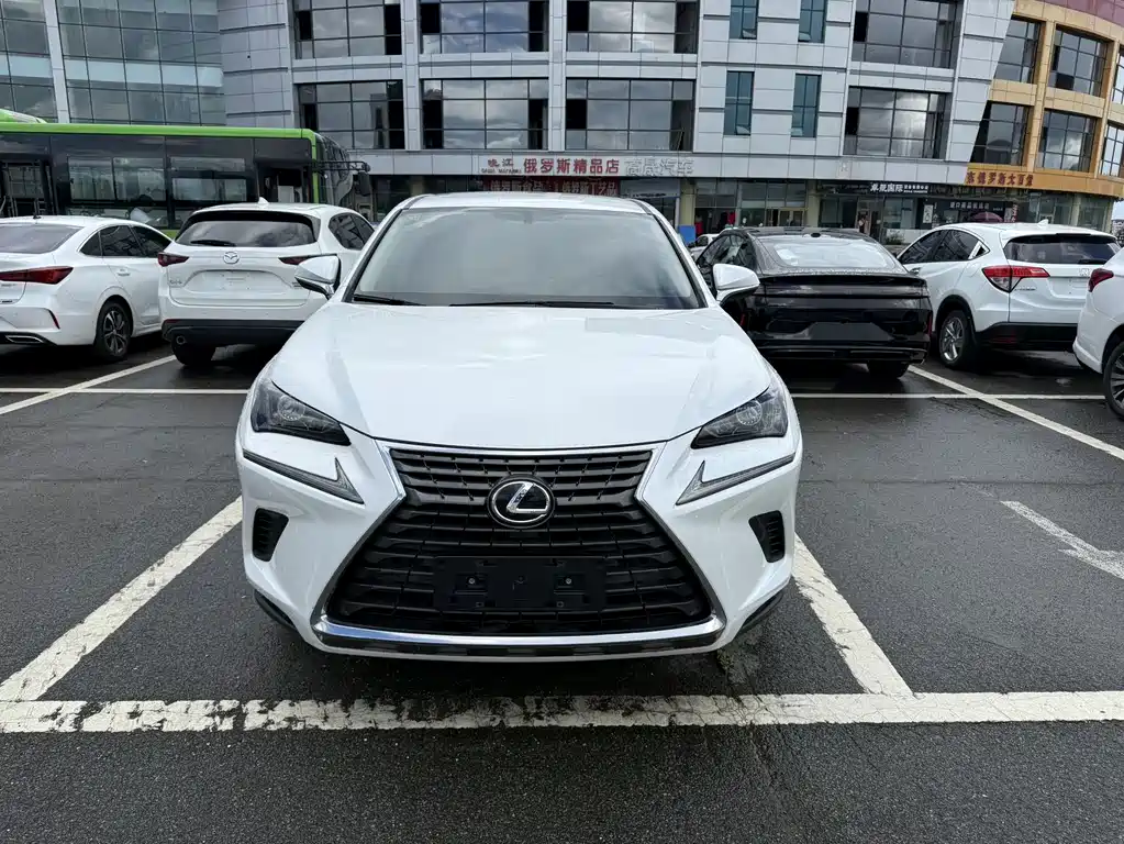 Lexus NX 2021 — фото 2