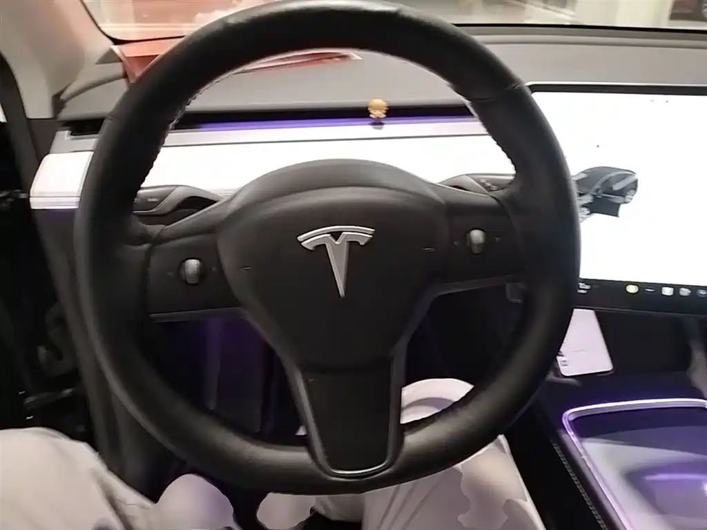 Tesla Model Y 2021 — фото 11