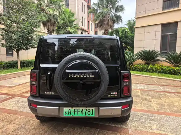 Haval Raptors New Energy 2024