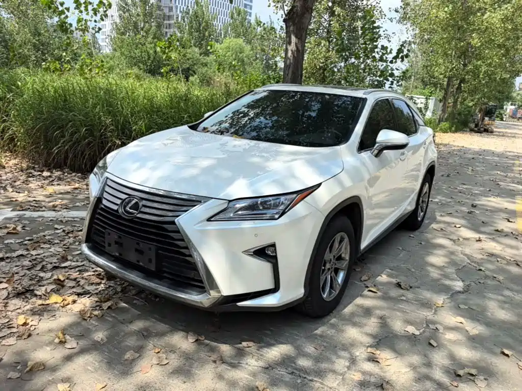 Lexus RX 2019 — фото 1