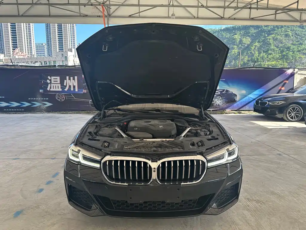 BMW 5 Series 2021 — фото 15