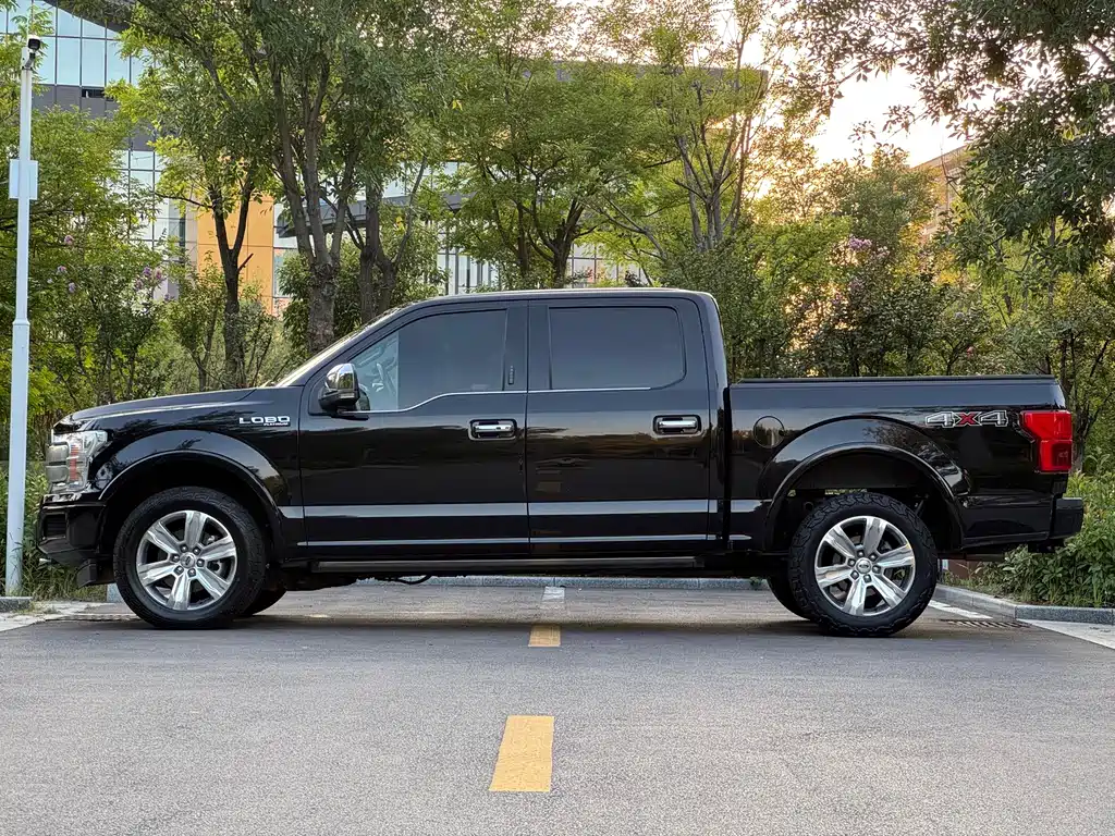 Ford F-150 Raptor 2020 — фото 4