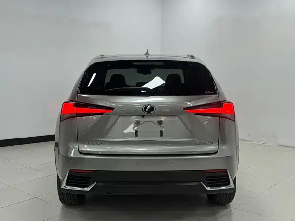 Lexus NX 2018