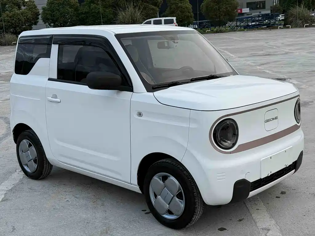 Geely Galaxy Panda 2024