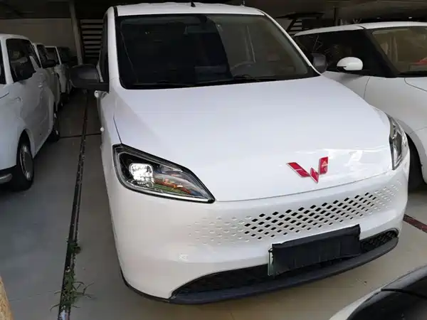 Wuling Hongguang New Energy 2025