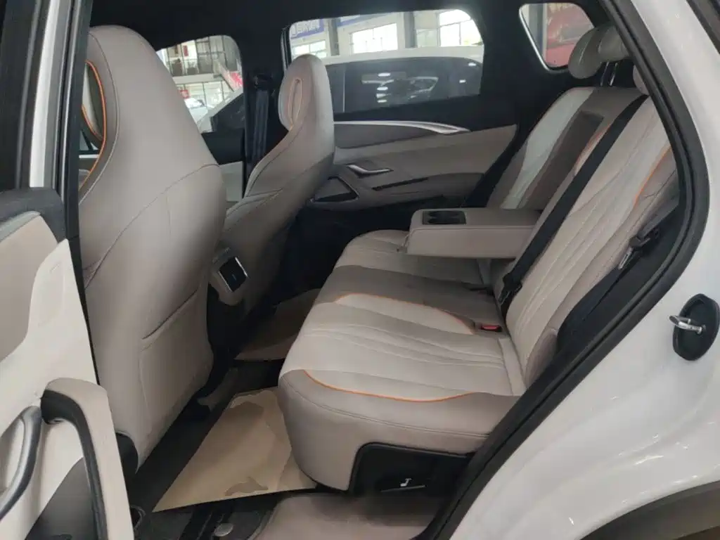 BYD Song Pro New Energy 2025 — фото 17