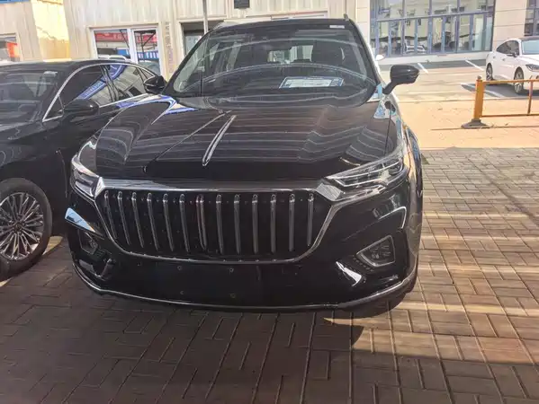 Hongqi HS5 2022