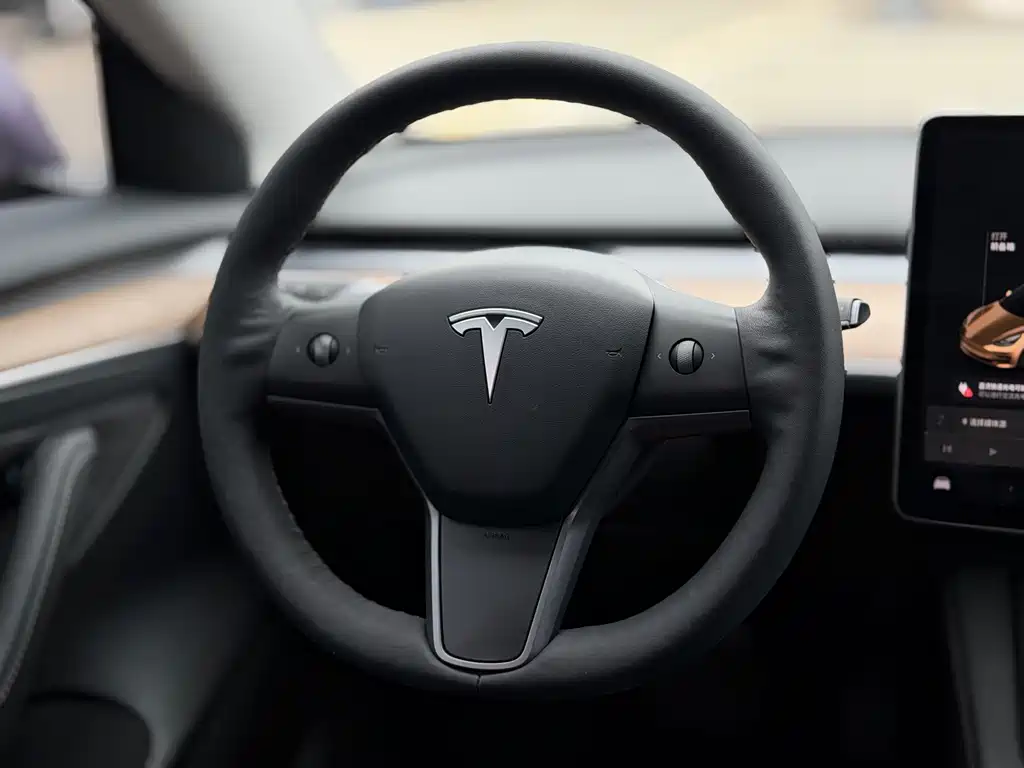 Tesla Model 3 2021 — фото 12