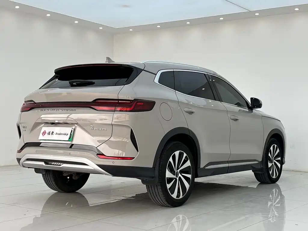 BYD PLUS New Energy 2024 — фото 15