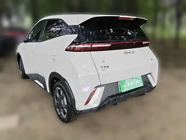 BYD Seagull 2024