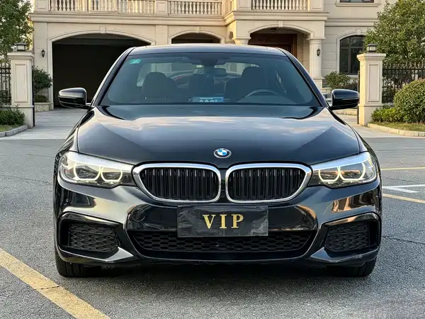 BMW 5 Series 2019