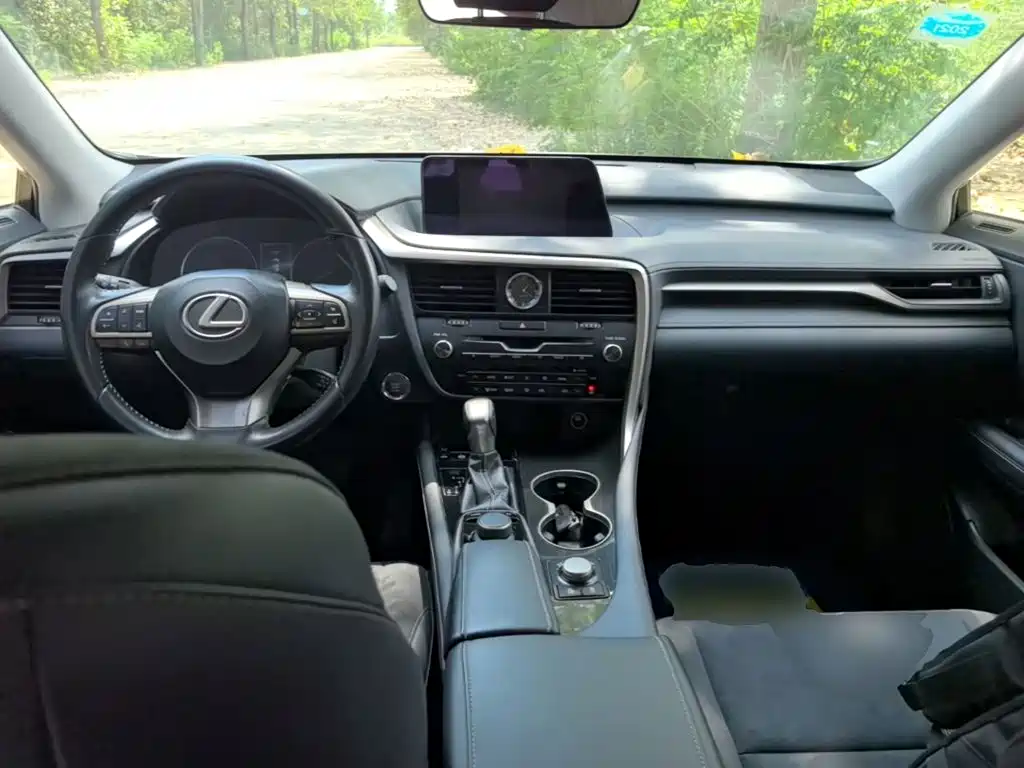 Lexus RX 2019 — фото 10