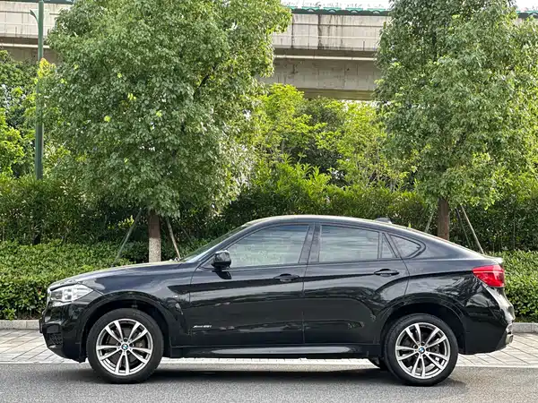 BMW X6 2019
