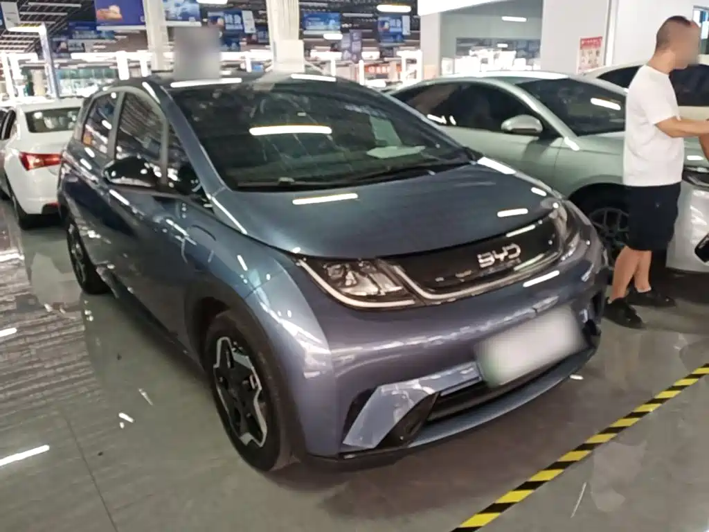 BYD Dolphin 2024
