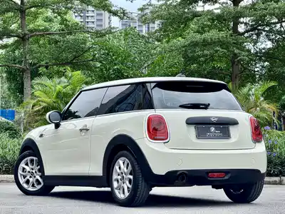 MINI MINI 2019