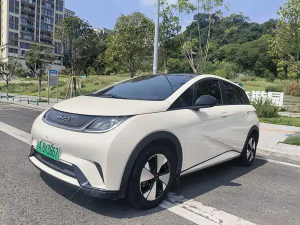 BYD Dolphin 2024