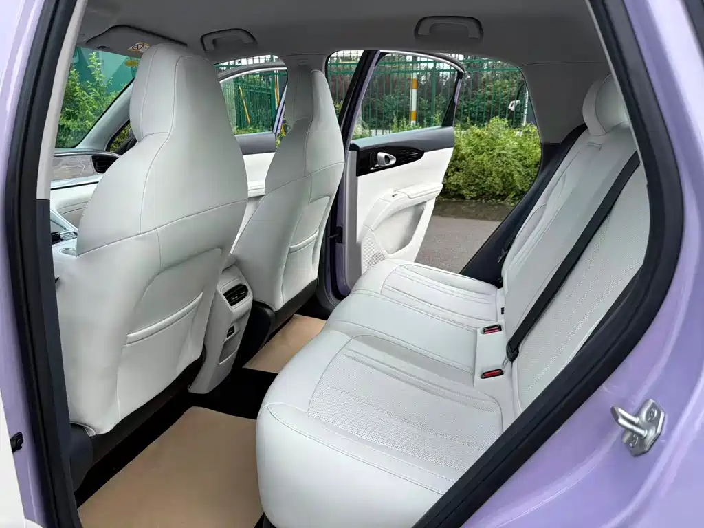 Geely Galaxy Starwish 2025 — фото 14