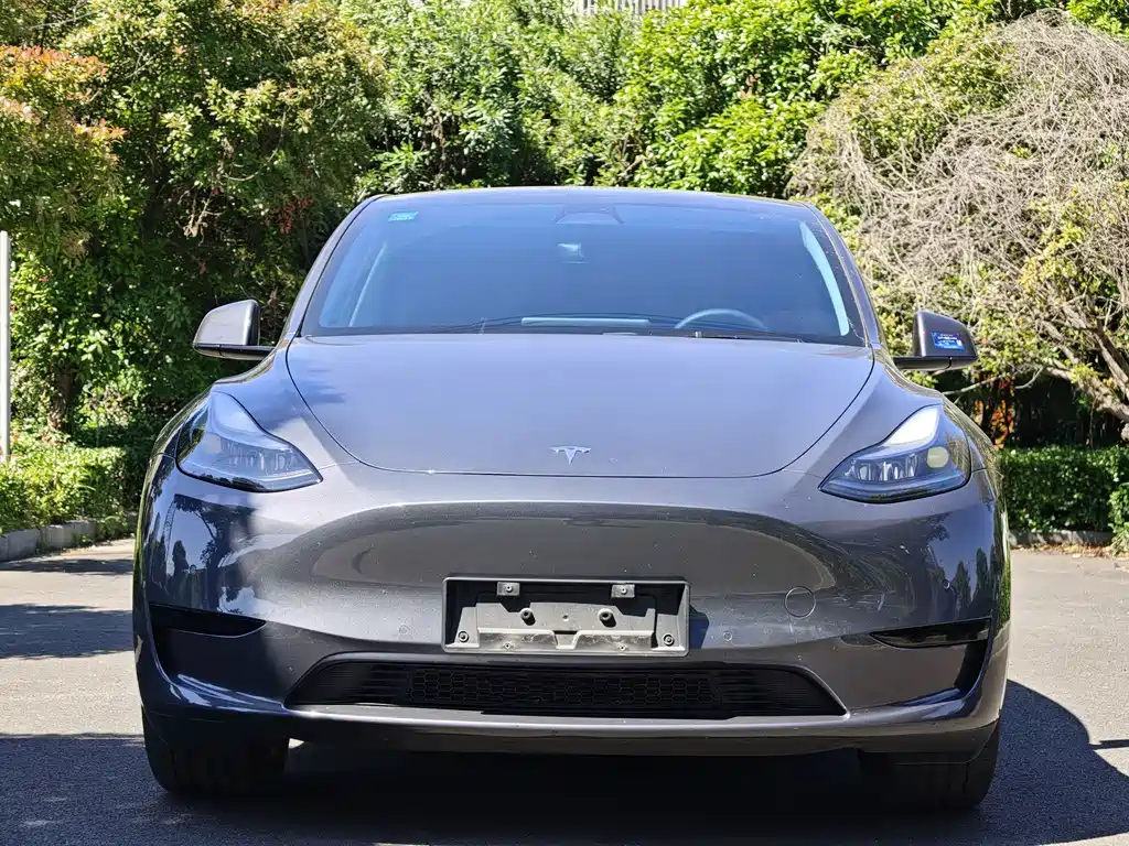 Tesla Model Y 2023 — фото 2