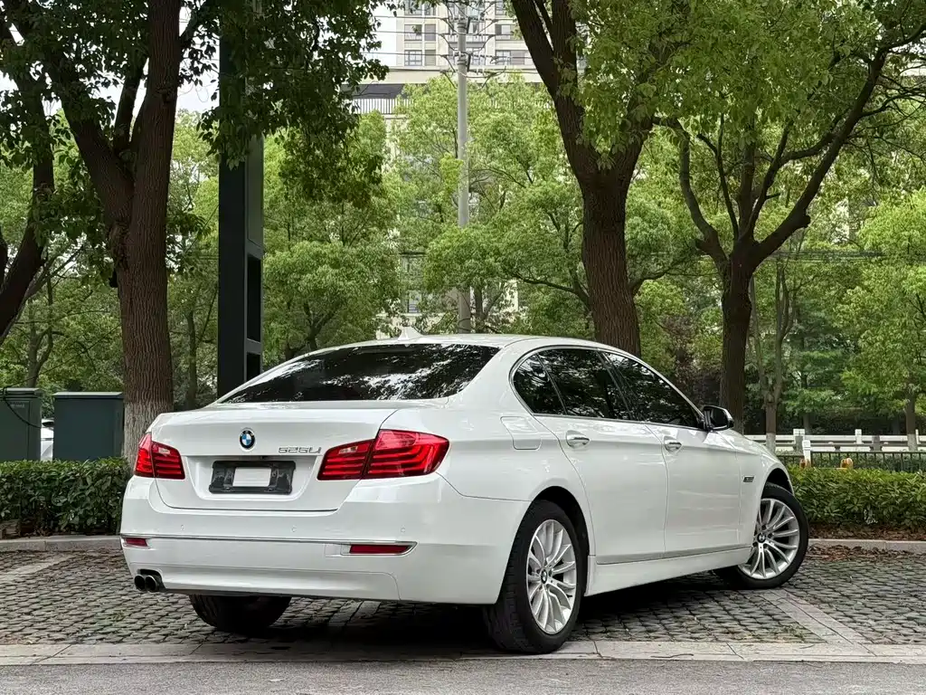 BMW 5 Series 2014 — фото 9