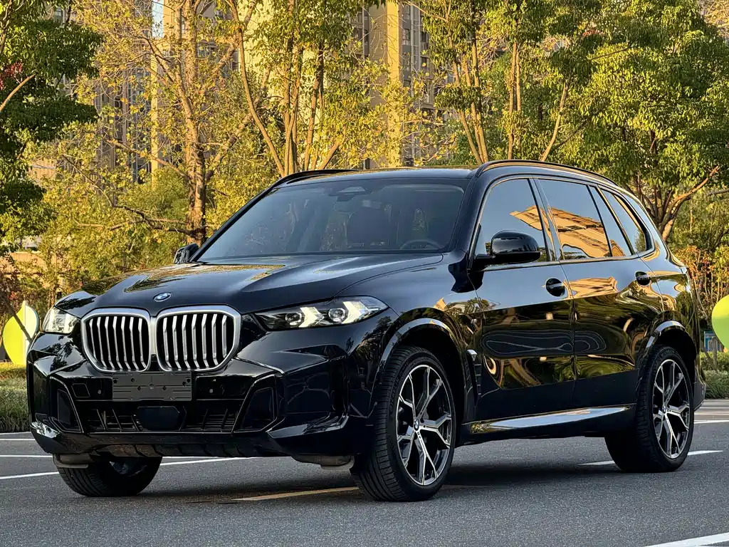 BMW X5 2025 — фото 1