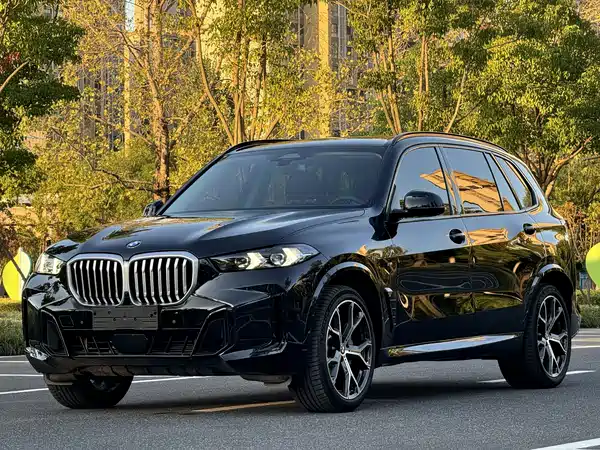 BMW X5 2025