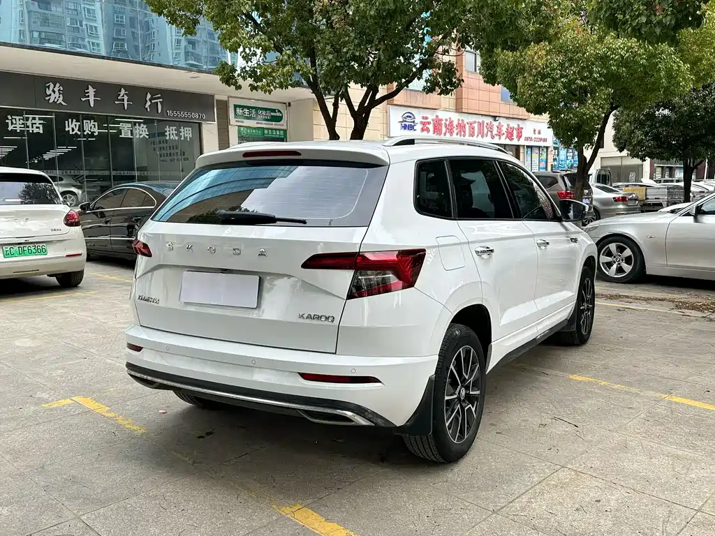 Skoda Karoq 2023 — фото 9