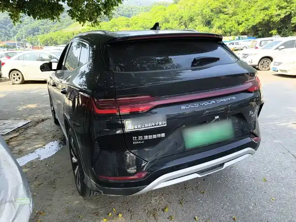 BYD Song PLUS New Energy 2024