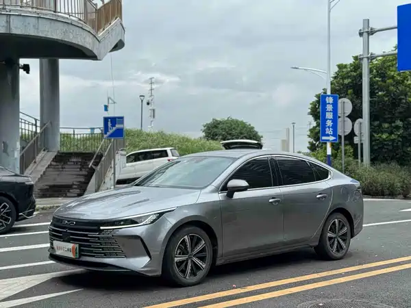 BYD Destroyer 05 2022