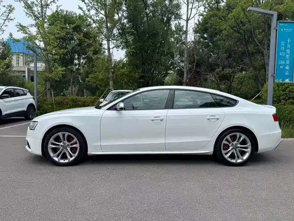 Audi S5 2013