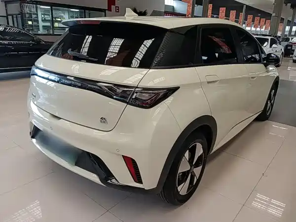 BYD Dolphin 2024