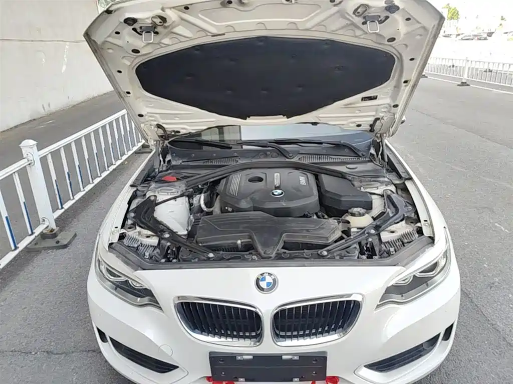 BMW 2 Series 2016 — фото 19