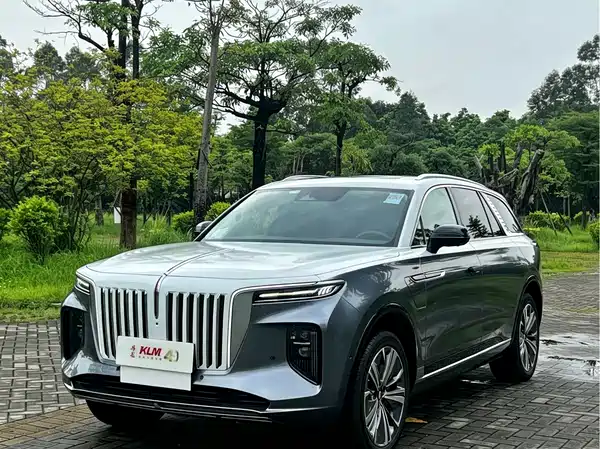 Hongqi E-HS9 2023