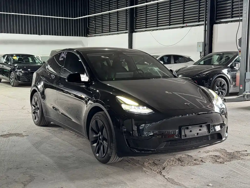 Tesla Model Y 2023 — фото 3
