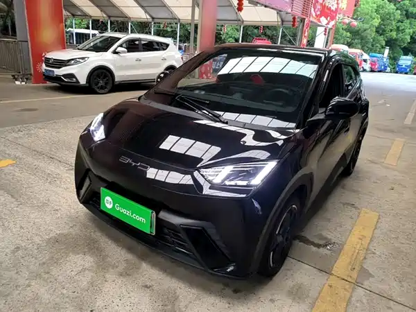 BYD Seagull 2024