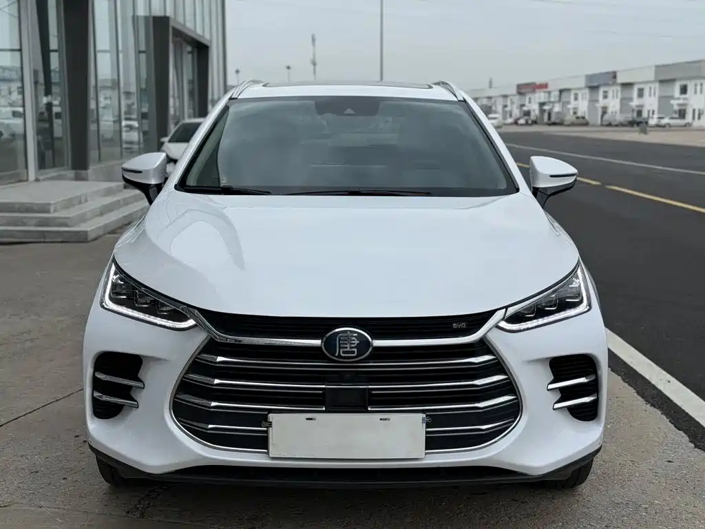 BYD Tang New Energy 2020 — фото 2