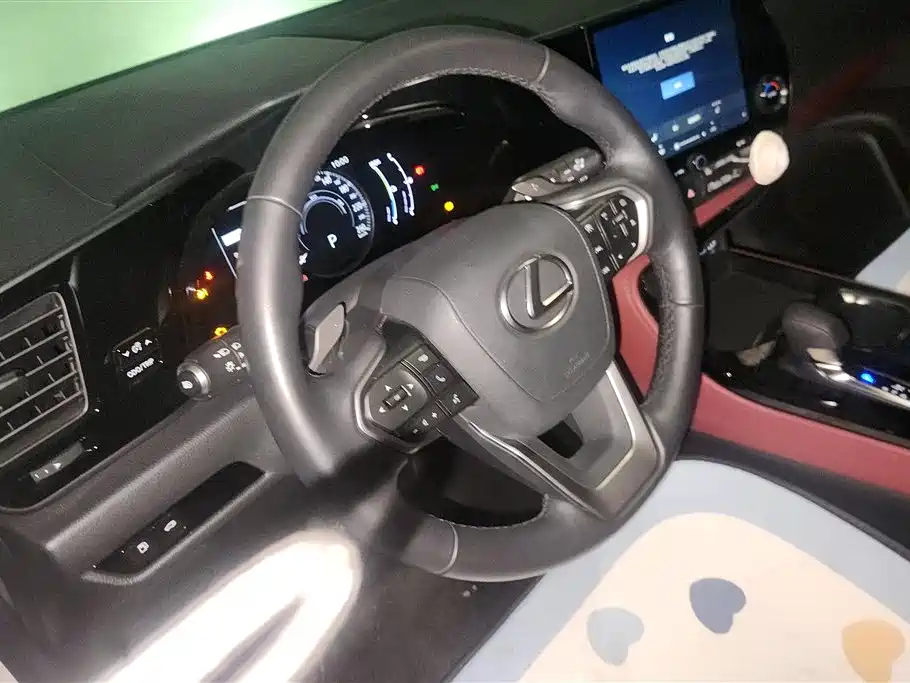 Lexus NX New Energy 2023 — фото 15