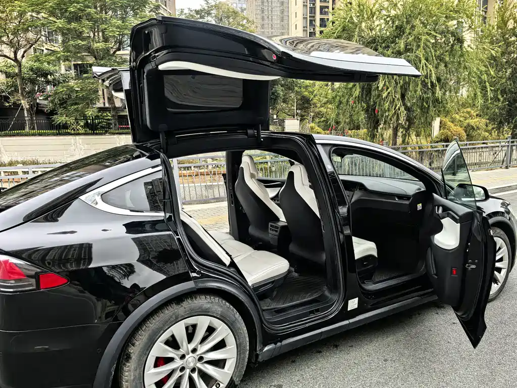 Tesla Model X 2019 — фото 10
