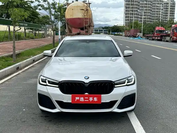 BMW 5 Series 2021