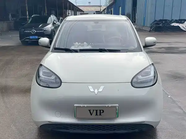 Wuling Bingo 2025