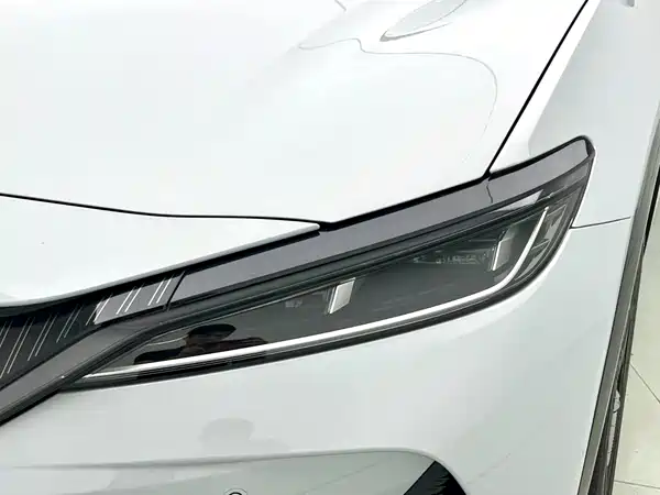 BYD Song L EV 2024