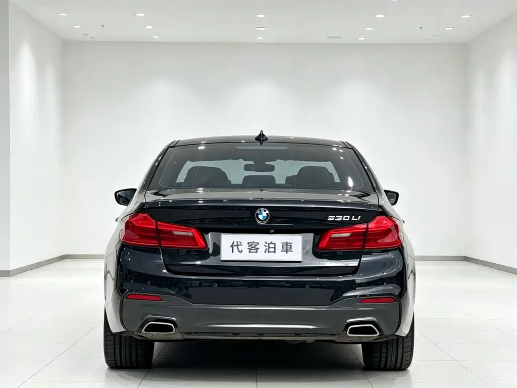 BMW 5 Series 2019 — фото 8