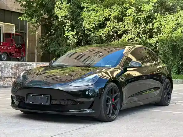 Tesla Model 3 2022